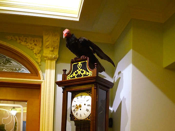 Also in the reception area is a vulture on a grandfather clock. "When Walt Disney first planned the club, he had a vulture in the trophy room and in the chandeliers there were microphones so that he could listen to guest conversations and then have the vulture talk back from the clock," Doyle said. They abandoned that plan pretty quickly, but the vulture still remains — and talks to guests!