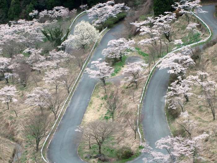 A favorite for those brave enough to try "drifting" in rear-wheel-drive cars, the Touge Roads in Japan lead up to the caldera of the picturesque Mount Fuji, both an active volcano and the highest peak in Japan.