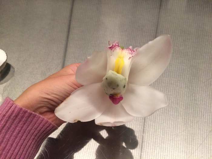 This one was an orchid. Filled with lime sorbet.