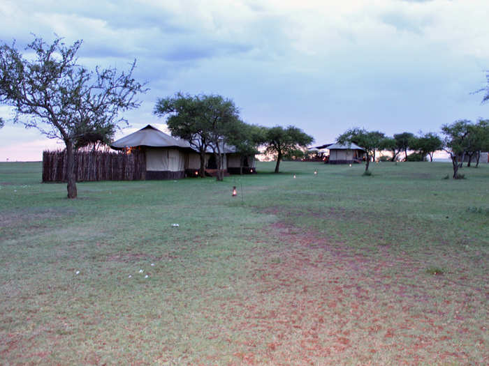 Guests can walk around the camp freely during the day, but at night they are escorted to and from their tents in case there are animals around.