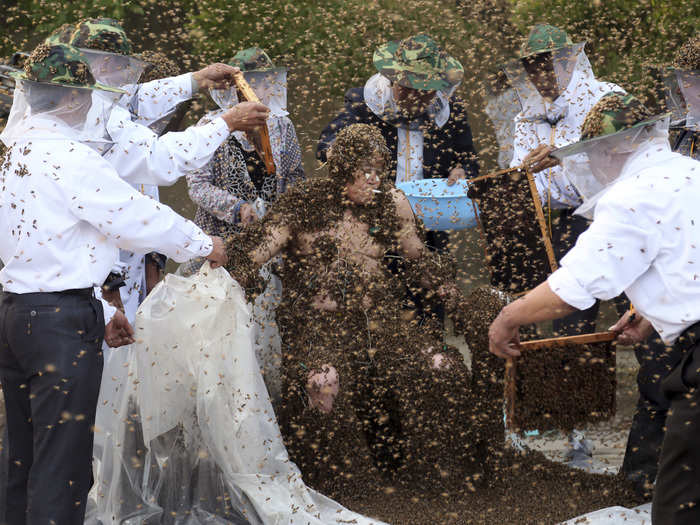 Bees swarm around Gao Bingguo as he attempts to break the Guinness World Record for being covered by the largest number of bees.