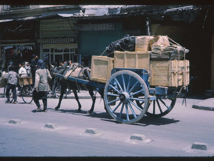 In the mid-60s, animals could be seen transporting goods through downtown Damascus. Cushman described this one as "a full load."