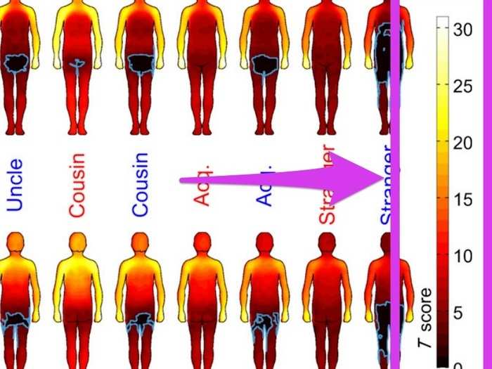 Then the scientists averaged all the drawings. White and yellow areas indicate a comfortable area to touch, while red and dark red areas indicate discomfort.