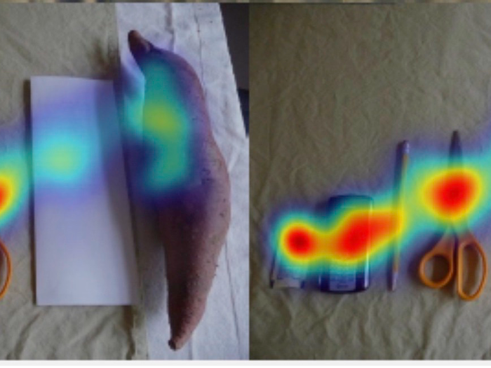 BabySibs researchers have found that babies with autism prefer to look at scrambled faces rather than normal pictures of faces.