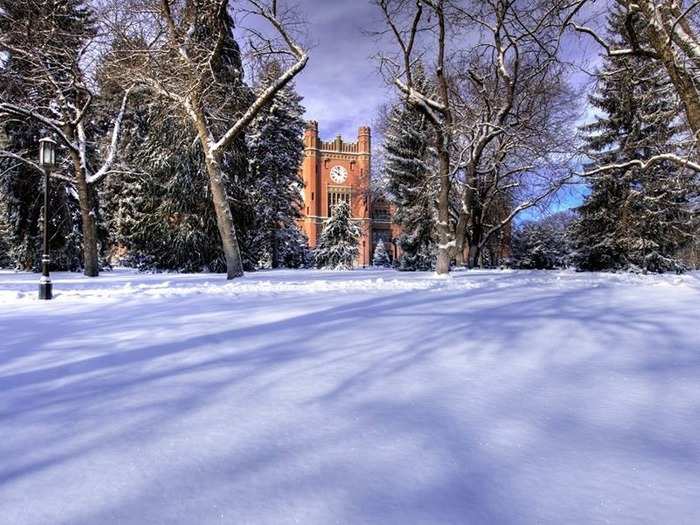 20. University of Idaho