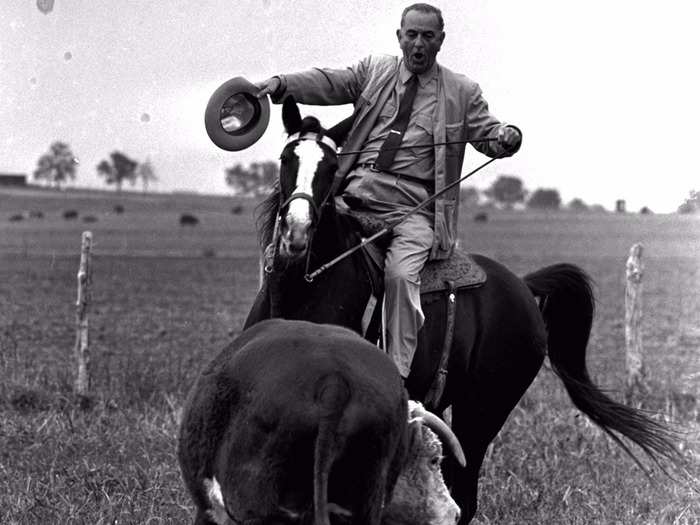 Lyndon B. Johnson herding cattle at his LBJ Ranch in Texas (1964)