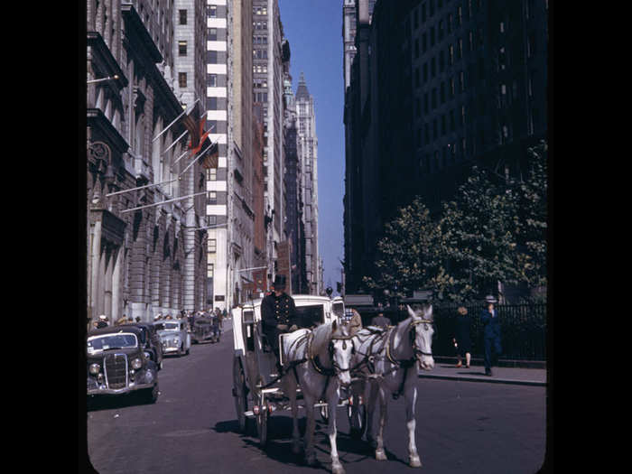 This horse-drawn carriage waits for passengers in Bowling Green.