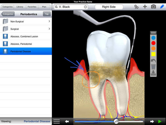 $499.99 — DDS GP Yes!