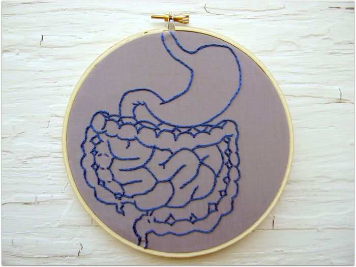 In fact, your digestive tract alone — including your small and large intestine — houses about 99% of your entire microbiome.