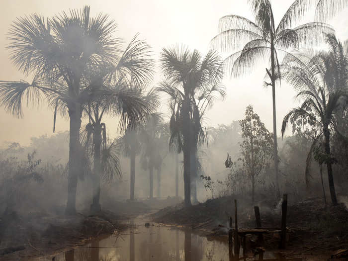 Nearly 20% of the Amazon has been cut down in the last 40 years, which is more than what was lost in the previous four centuries. Explore the Amazon with these incredible photos.