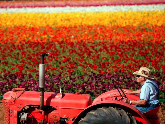 9. Farmers, ranchers, and other agricultural managers