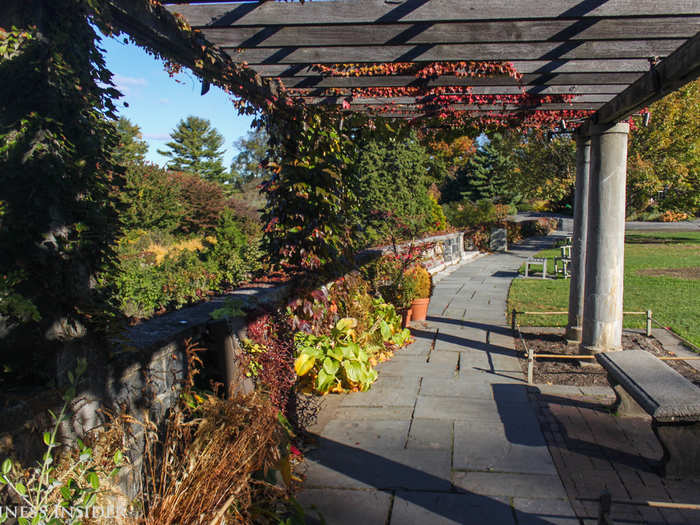 Most people head straight to the main outlook. Under the pergola, one of the signature elements of the park, you