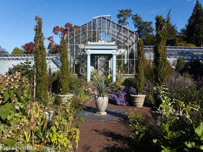 The Conservatory hosts ferns, rainforest cacti, and other tender plants.