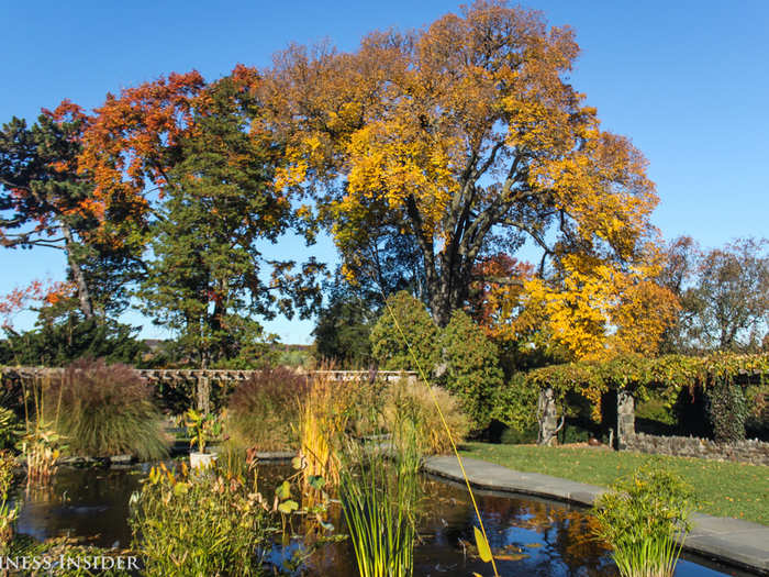 Another staple of the grounds is the pond in the Aquatic Garden.