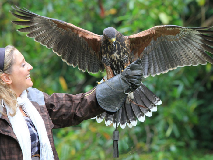 Ashford Castle is also home to the oldest established Falconry School in Ireland. Guests can participate in private guided "Hawk Walks," where they can learn the art of falconry. The estate also has fishing, clay shooting, archery, golf, cycling, kayaking, horseback riding, and tennis.