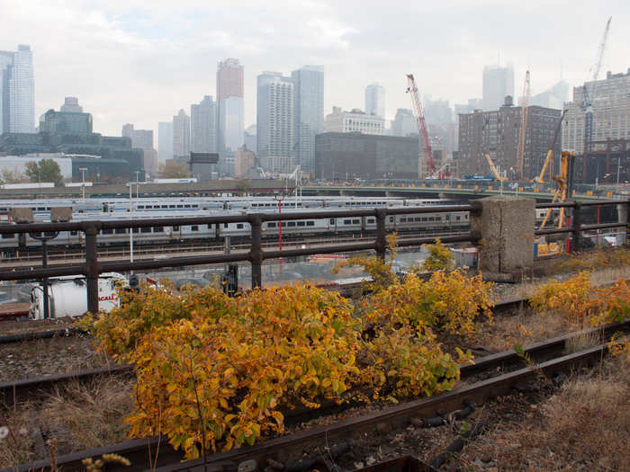 When you think "park," towering construction cranes and steel beams probably don