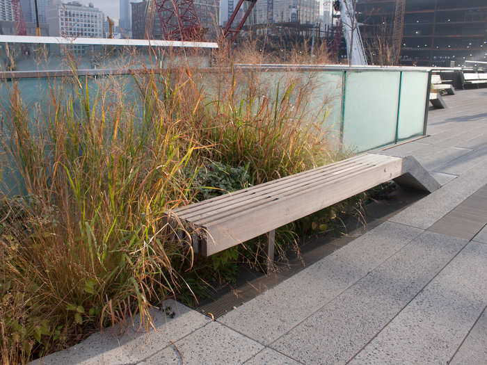 And the park design itself situates the visitor in a strangely linear but dynamic environment. The benches that seem to be rising from the ground are an example of this.