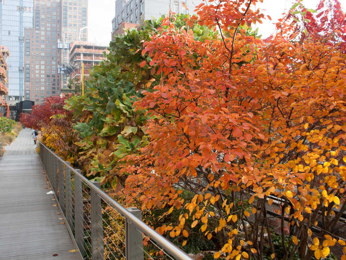 The plant selection favors native, drought-tolerant, and low-maintenance species, cutting down on the resources that go into the landscape.