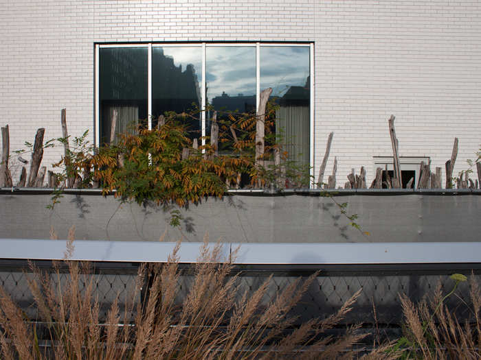 One consequence of the elevated park is the proximity of nearby apartment buildings. The High Line effectively puts thousands of people within eyesight of some residential windows.