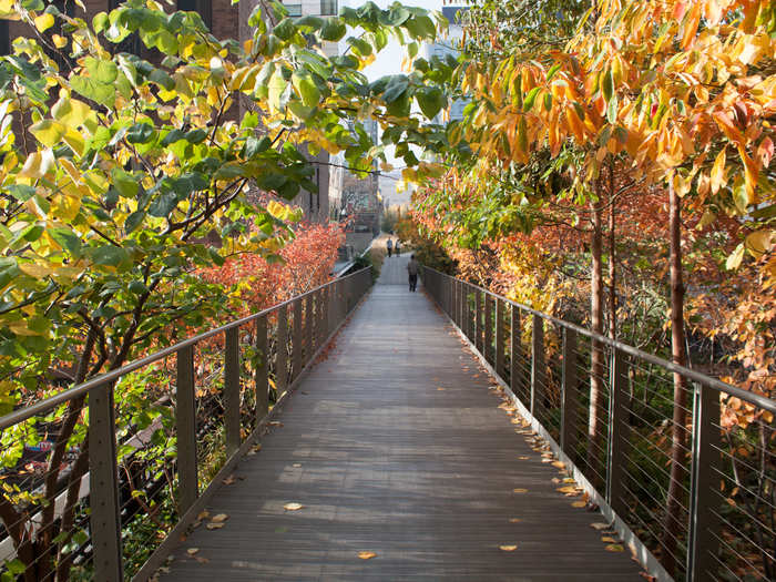 Another overgrown pathway leads into one of the park