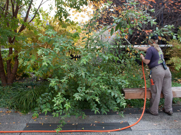 Plants were being watered.