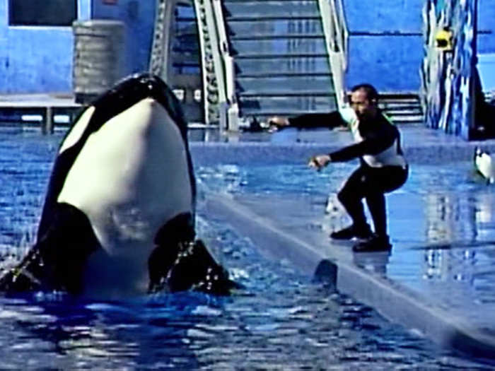 Even after his second kill, SeaWorld didn