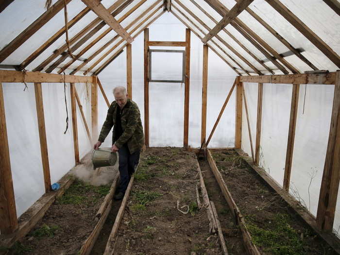 Here, a villager named Alexander fertilizes the soil with ash in his greenhouse. Most vegetables can be grown here, and the village has a scattering of sheep.