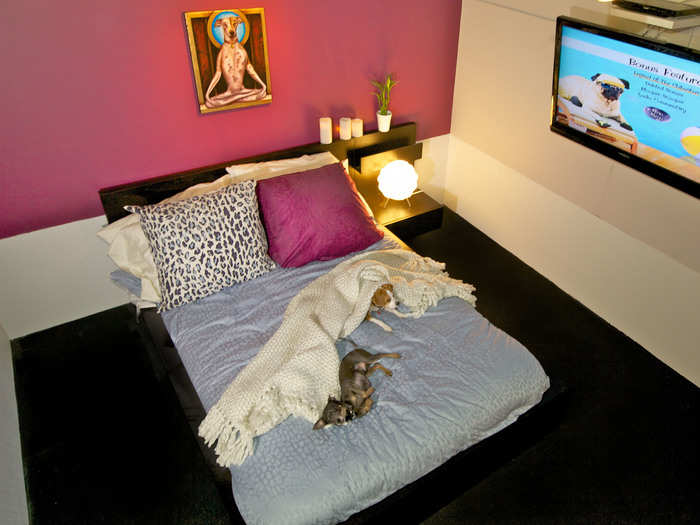 If you really want to pamper your pup, book the Uber Suite, which runs at $200 a night. Inside is a queen-sized bed, a 42-inch flat-screen TV, and wall decorations imported all the way from an artist in Hawaii. D Pet Hotel