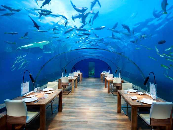 Eat in a real-life aquarium at the underwater restaurant inside the Conrad Maldives Rangali Island hotel.