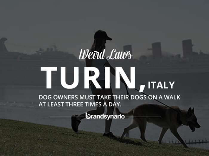 Top 10 craziest laws around the World Business Insider India