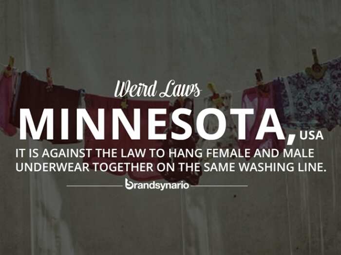 Top 10 craziest laws around the World Business Insider India