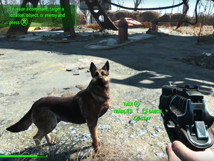 Even if you use the Lone Wanderer perk (15% less damage and 50 more carrying capacity), you can still bring Dogmeat with you.