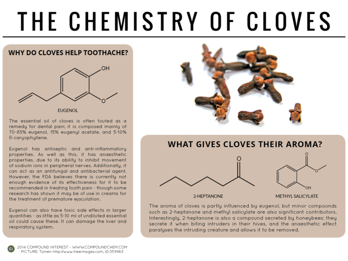 Clove oil is rich in a compound called eugenol, which has antiseptic and anti-inflammatory properties that can ease dental pain.