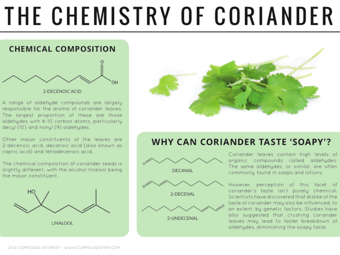 Leaves from the coriander plant are a popular ingredient in Indian cuisine. But the leaves can sometimes taste soapy. That