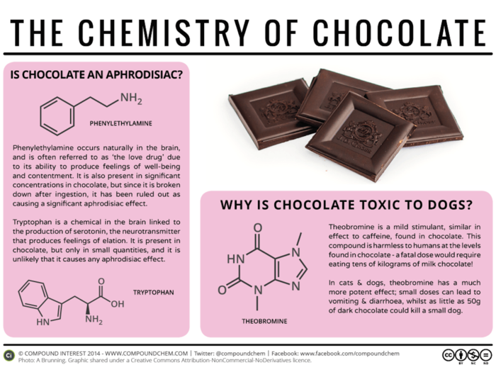 Cocoa plants contain the bitter-tasting, toxic chemical theobromine. Luckily, a human would have to eat tens of pounds of chocolate over a short time period to be in any danger. But for dogs and cats, a small amount can be harmful. Always keep chocolate away from pets.