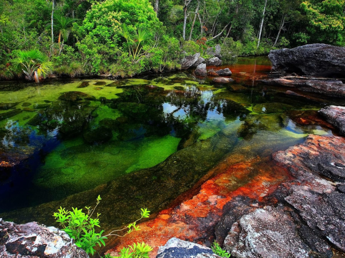 Marvel at Colombia’s Caño Cristales, found in Serrania de la Macarenia National Park. Composed of an aquatic plant that takes on hues of red, blue, yellow, orange, and green under specific weather conditions, it is said to look like a breathtaking river of rainbows from June to December.