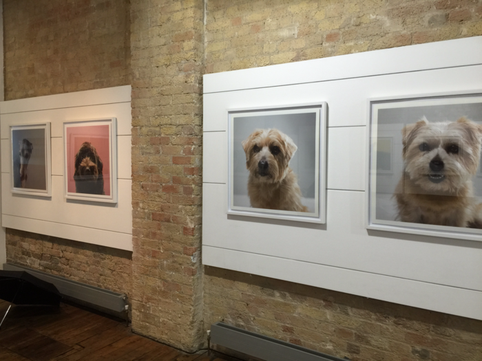 ... and the ground floor is largely adorned with doggy portraits and works of art.