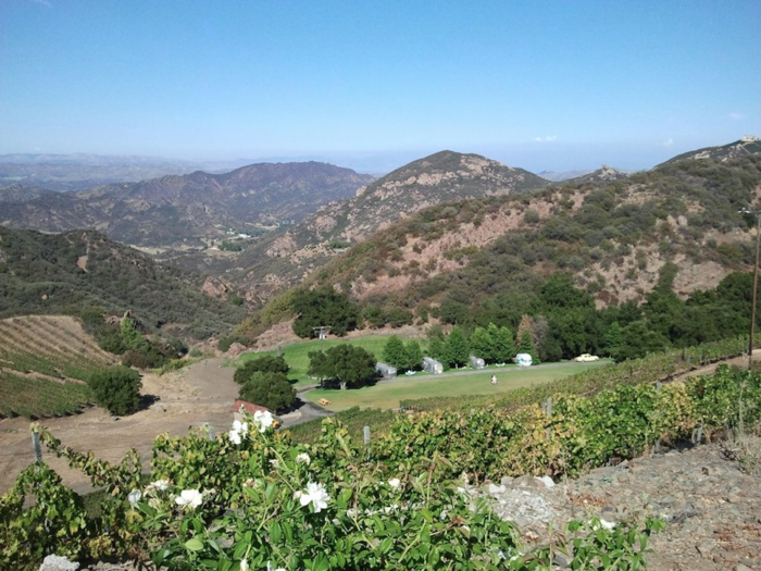 MALIBU, CALIFORNIA: Just last year Malibu was given American viticultural area status, which means it