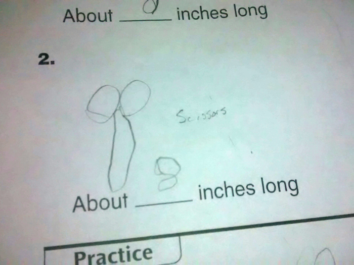 "I had to clarify what my son drew on his homework," this Reddit user said. Scissors.