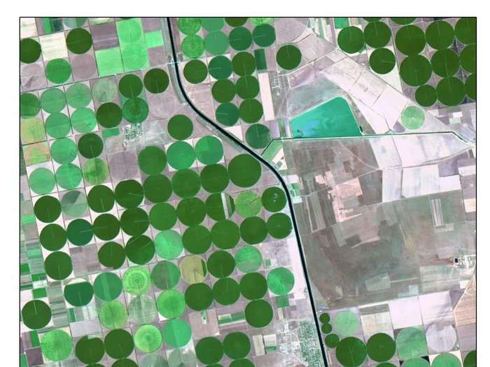 This picture is a satellite image of crop circles. Crop circles appear when watering systems with a central pivot point are used to care for the crops and plants.