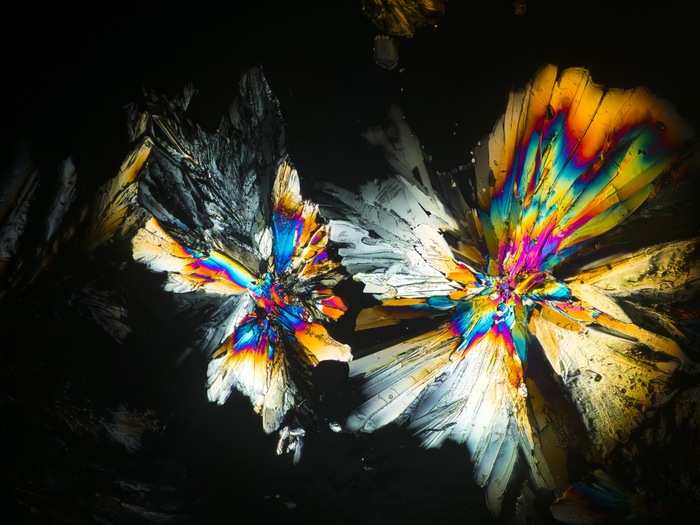 Sugar crystals in polarized light create this dazzling explosion of colours.