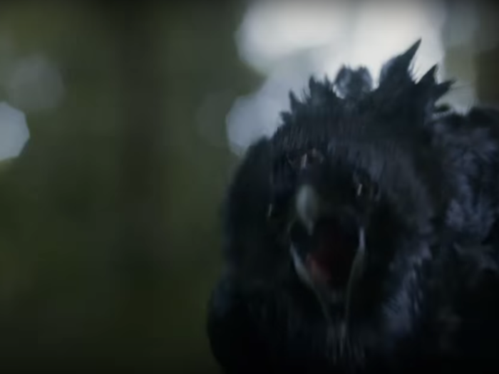 Next, we see the three-eyed-raven, the dream form of Bloodraven who will teach Bran how to see into the past and future next season.