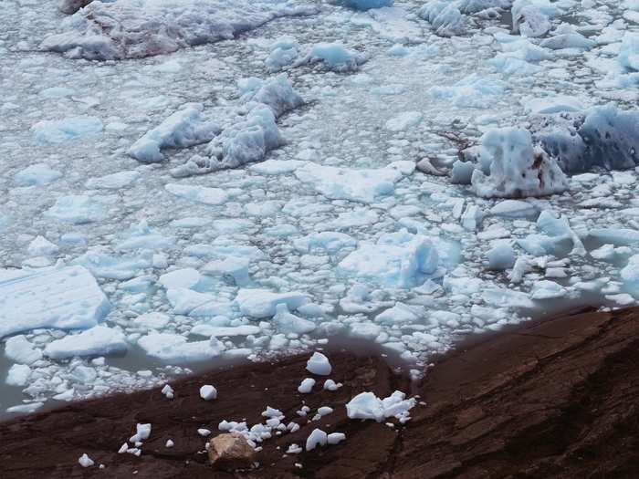 Recently melted glacial ice floats in Los Glaciares National Park