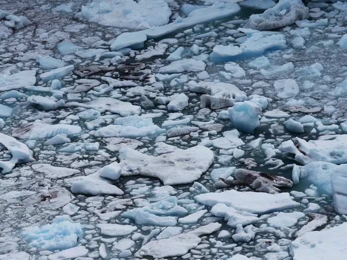 Glacial melt in Lago Argentino