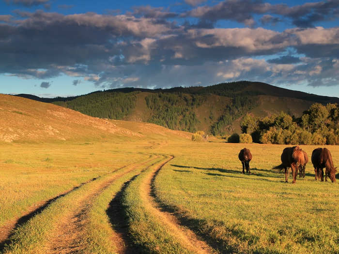 3. Mongolia