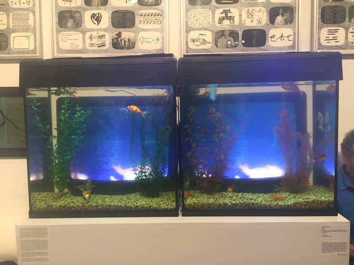 We felt a little bad for the real fish swimming in Nam June Paik