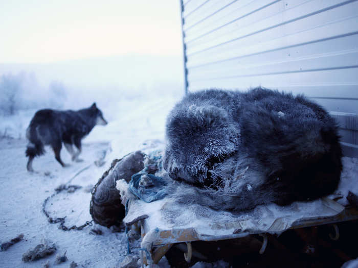 In the town, Chapple was taken aback by the immediate and extreme effects of the cold temperatures. “I remember feeling like the cold was physically gripping my legs. The other surprise was that occasionally my saliva would freeze into needles that would prick my lips," Chapple told the Weather Channel. Chapple says a full day in this environment was "exhausting."