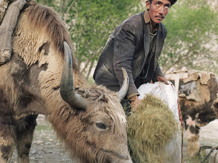 There are two persecuted groups living in the Wakhan Corridor: the Wakhi and the Kyrgyz. Most of the time, the Kyrgyz live in the higher mountain parts of the region, while the Wakhi live in the valley beneath.