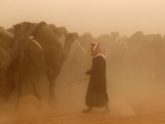 Saudi Arabia is the largest country in the world without a river.