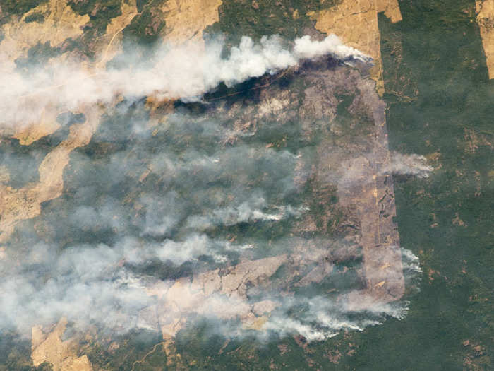 Ongoing human catastrophes are easily visible, too, like deforestation.